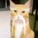 avatar 𝚈𝚊𝚝𝚘