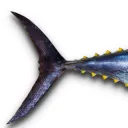 o4tuna