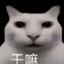壊れた影の玉座のジョーカー皇帝's Avatar