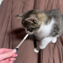 avatar Zero Two passione piedi