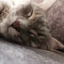 Аватар ladorme