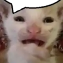 avatar deliwuxx
