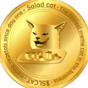 saladcatadmin1720