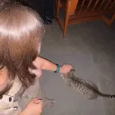seoeatscats