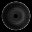 nexr_