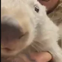 whatthefrickinheck