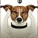 comedi08