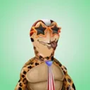 gizmothrivingturtles