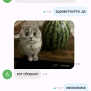 Discord Avatar