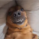 gabiffff