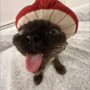 avatar хушовлинив