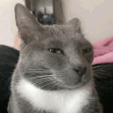 avatar хушовлинив