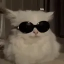 Аватар life_for_half