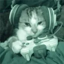 Аватар drakoshatosha.