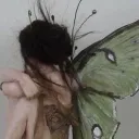 poisong1rll_