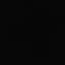 silvasffxj