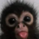 javisuca avatar