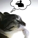 avatar 𝐂𝐫𝐚𝐬𝐡 ♤