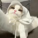 puciho