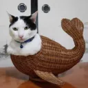 nekokuzira