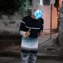 dgzin1_