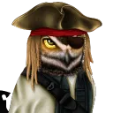 gorote43
