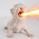 abcxyz.meomeo