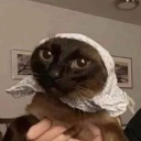 Discord Avatar