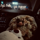 avatar 𝔖𝔲𝔫𝔰𝔥𝔦𝔫𝔢𝔖𝔪𝔦𝔩𝔢𝔰