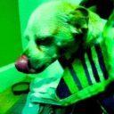 avatar P     o     t     a     t    o