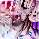 sirvanix6255