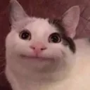 dandododidochip2 avatar