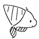 peruki