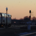 avatar ✥ venny ✥