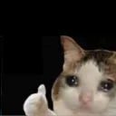meowman3666 avatar