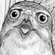 jamjarsook
