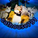 cathouse791