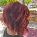 brownii_97