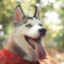 Аватар an4oyc13265473