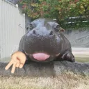 zlwz