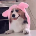 nickelstheenby