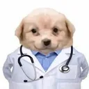 Prof.Dr
