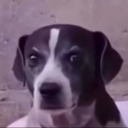 avatar KADE 🇲🇦