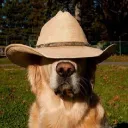 sheriffserge_yt