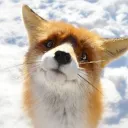 vixeysaphire