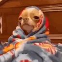 lnwseptek
