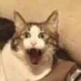 theogmika