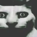 ind0_rex230