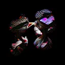 polymath0868