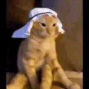 kriju
